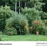 De La Rode Affittacamere 3*