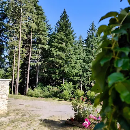 De La Rode بيت ضيافة 3*