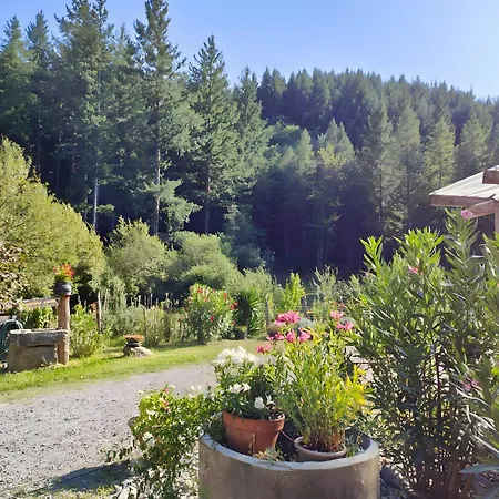 بيت ضيافة De La Rode 3*